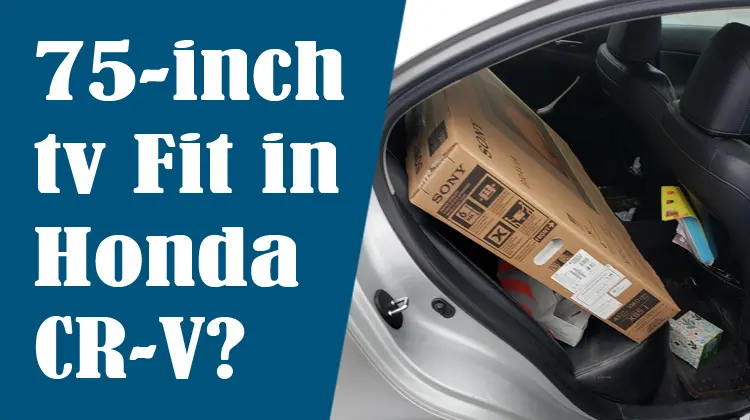 Will a 75 inch TV Fit in a Honda CRV?