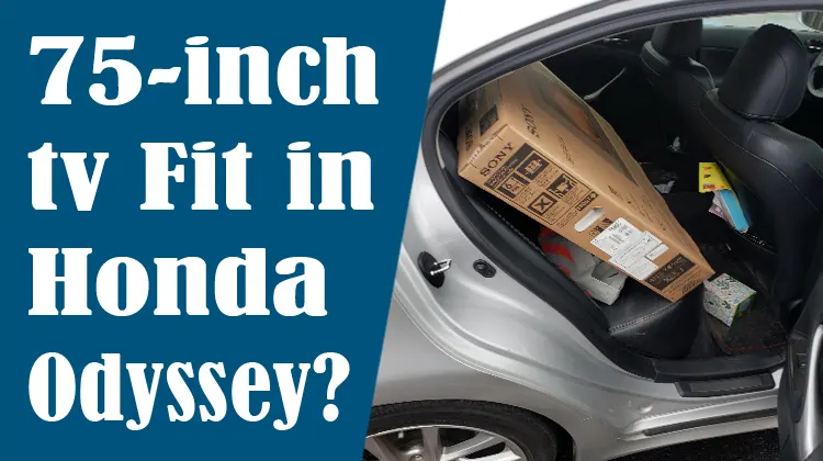 Will a 75 inch TV Fit in a Honda Odyssey?